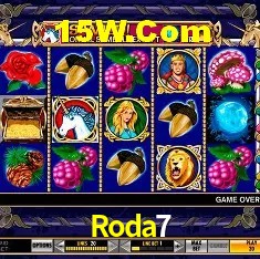 Roda7 Brasília - Jogo Features