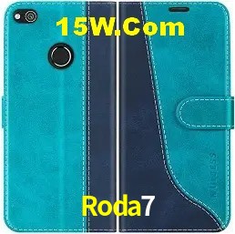 Segurança 2FA Roda7
